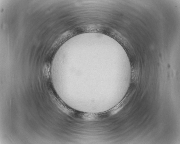 X0000085820142200704091642