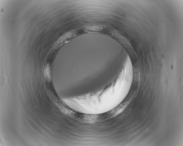 X0000085820143200704091642