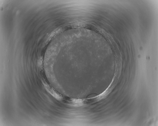 X0000085820144200704091642