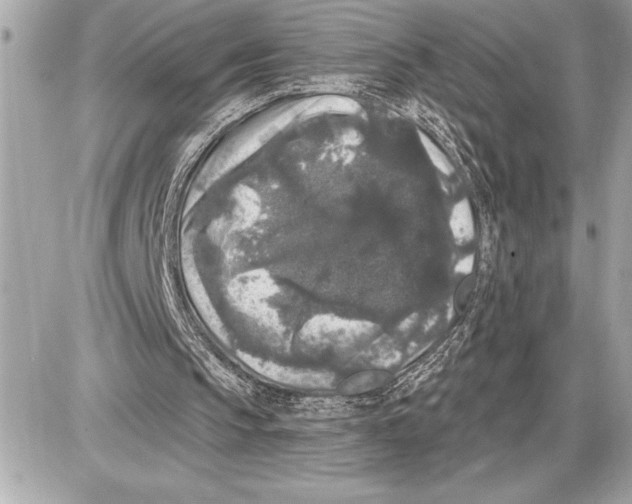 X0000085820145200704091641