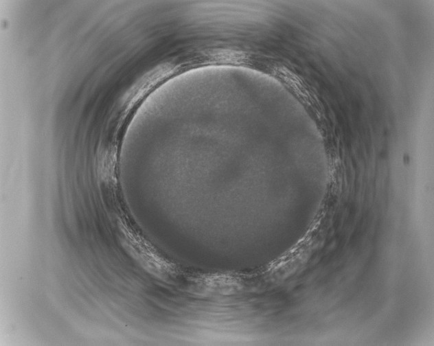 X0000085820146200704091641