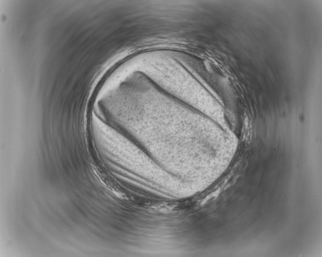 X0000085820148200704091641