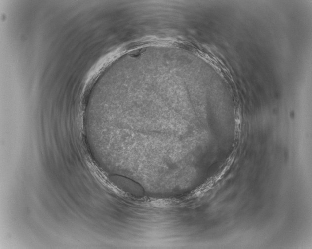 X0000085820149200704091641