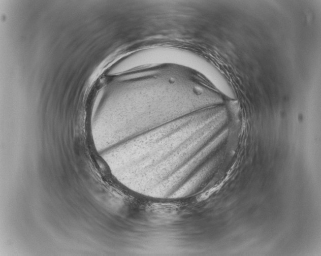 X0000085820150200704091641