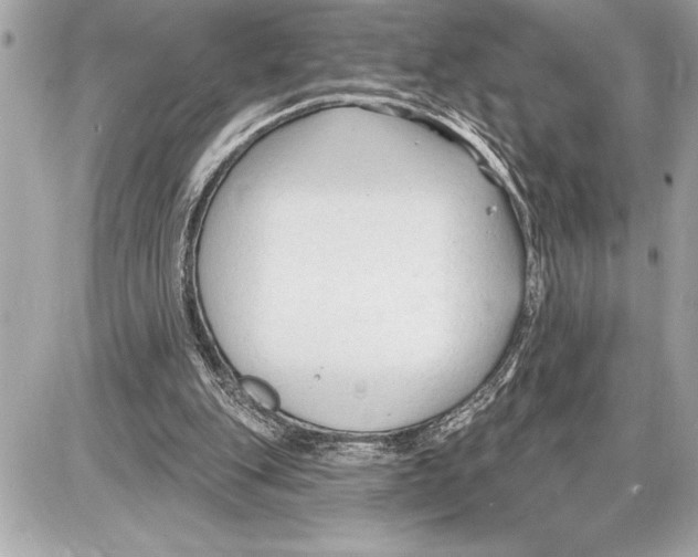 X0000085820151200704091641