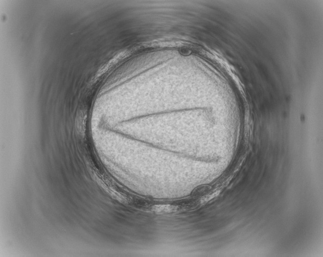 X0000085820153200704091641