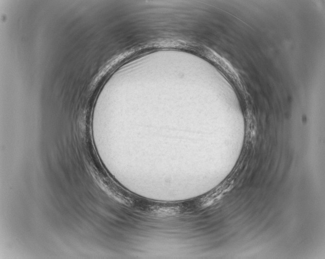 X0000085820155200704091641