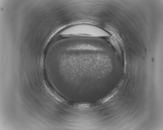 X0000085820156200704091641