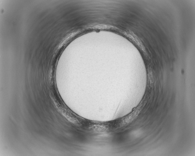 X0000085820159200704091641