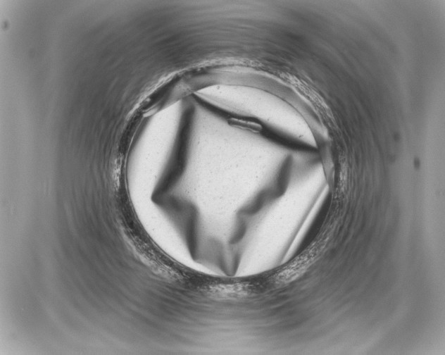 X0000085820160200704091641