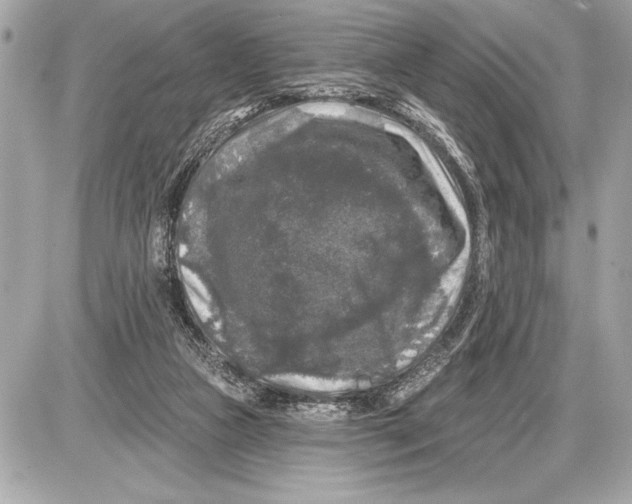 X0000085820161200704091641