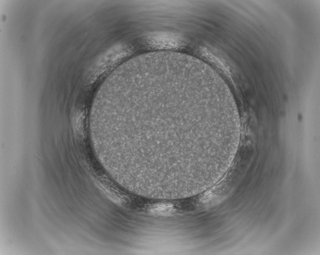 X0000085820162200704091641