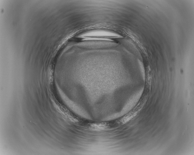 X0000085820164200704091641