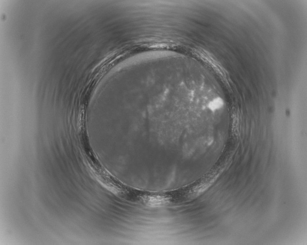 X0000085820165200704091641