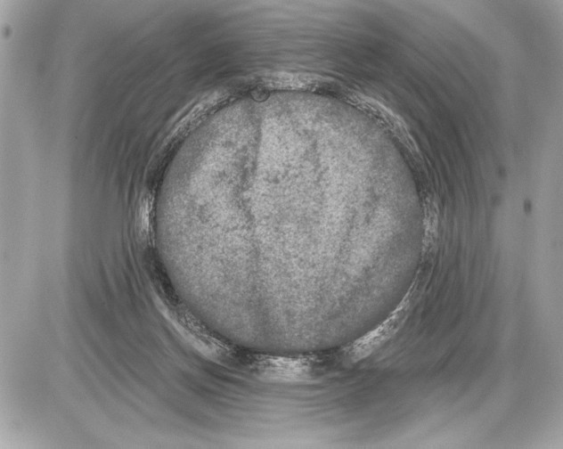 X0000085820166200704091641