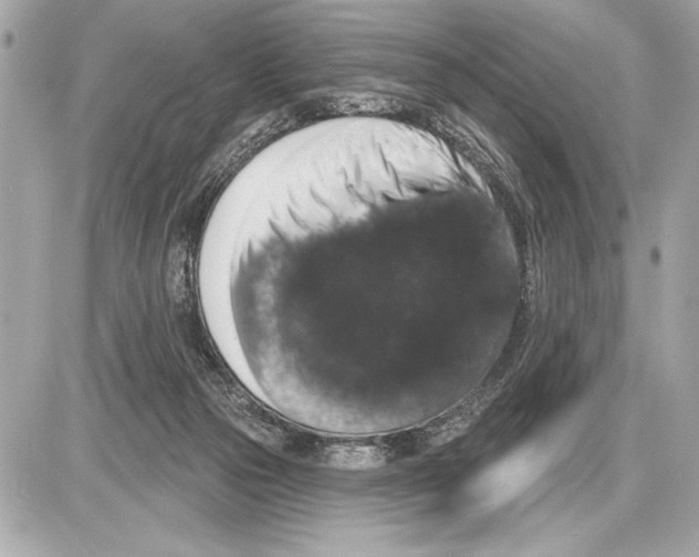 X0000085820169200704091641
