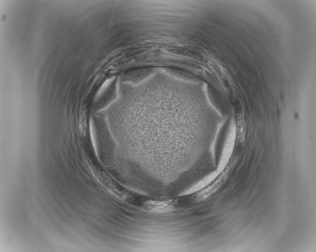 X0000085820170200704091641