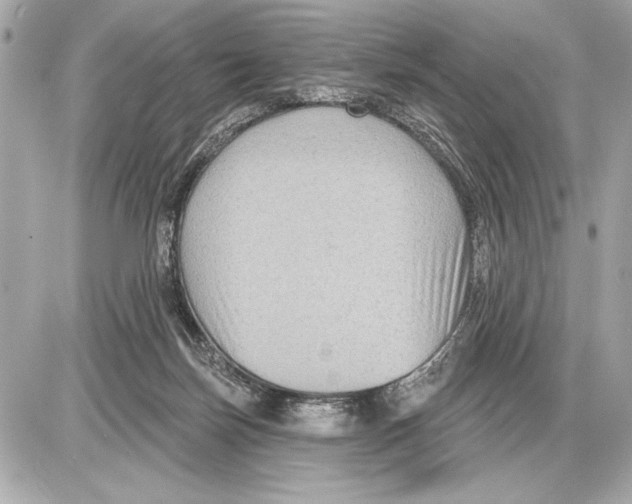 X0000085820171200704091641