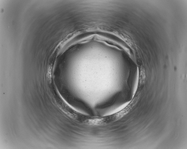 X0000085820172200704091641