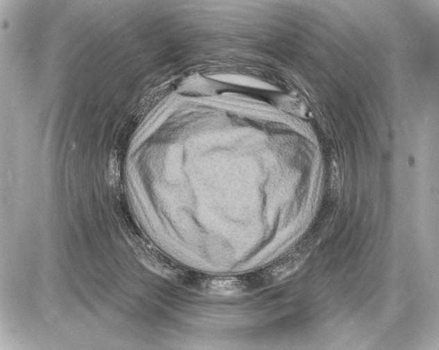 X0000085820173200704091641