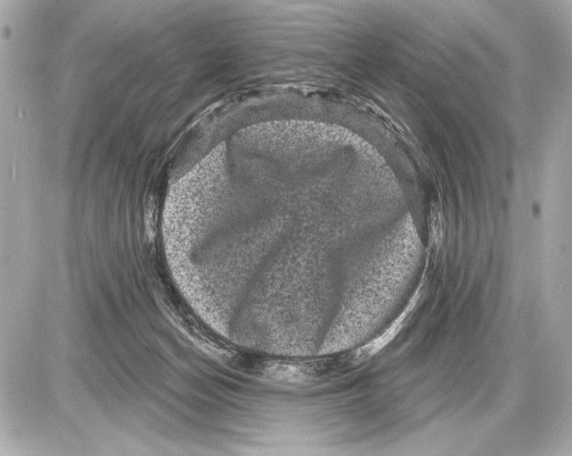 X0000085820174200704091641