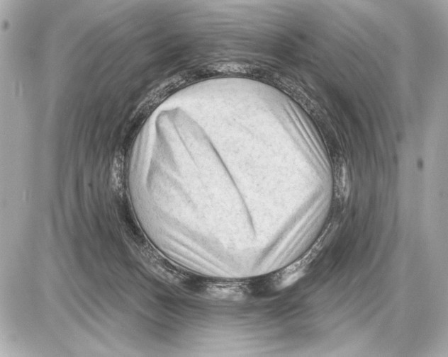 X0000085820175200704091641