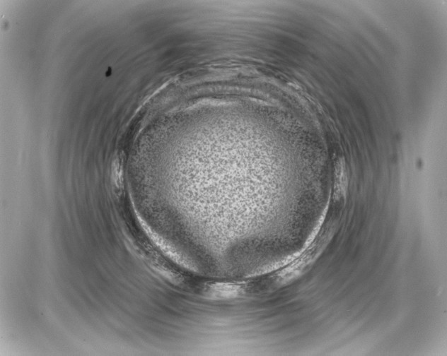 X0000085820176200704091641