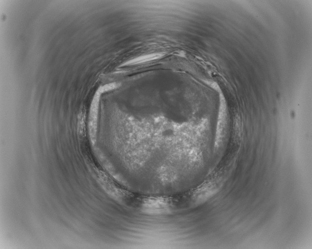 X0000085820177200704091641