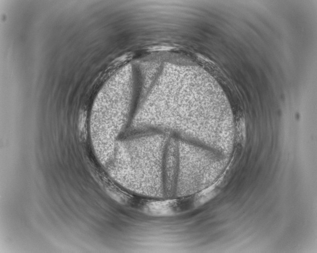 X0000085820178200704091641