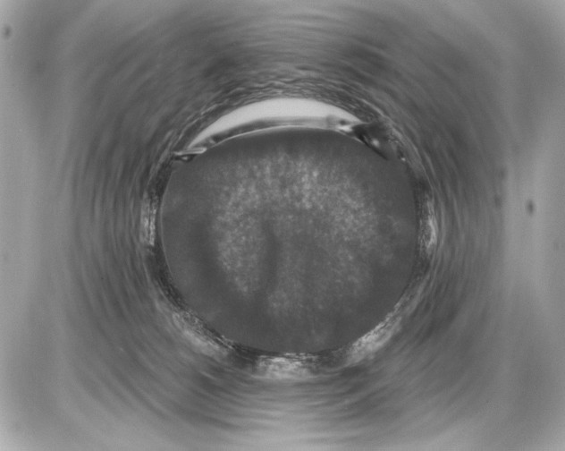 X0000085820180200704091641