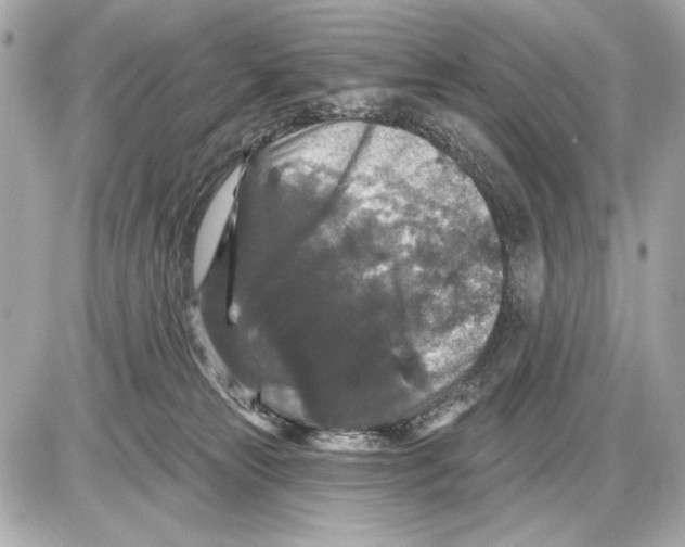 X0000085820181200704091641