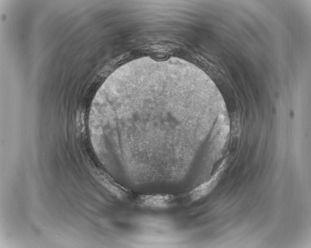 X0000085820182200704091641