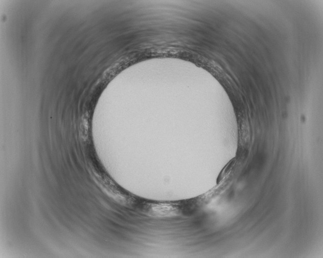 X0000085820183200704091642