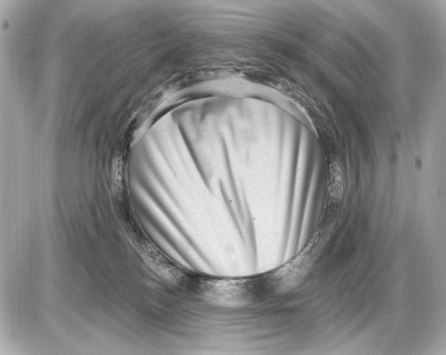 X0000085820184200704091642