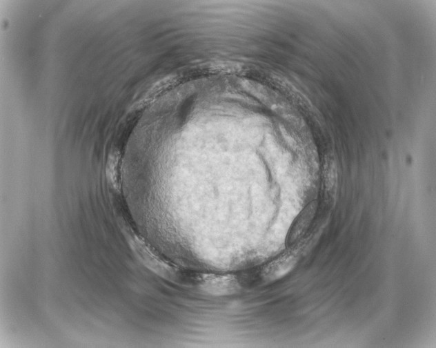 X0000085820185200704091642