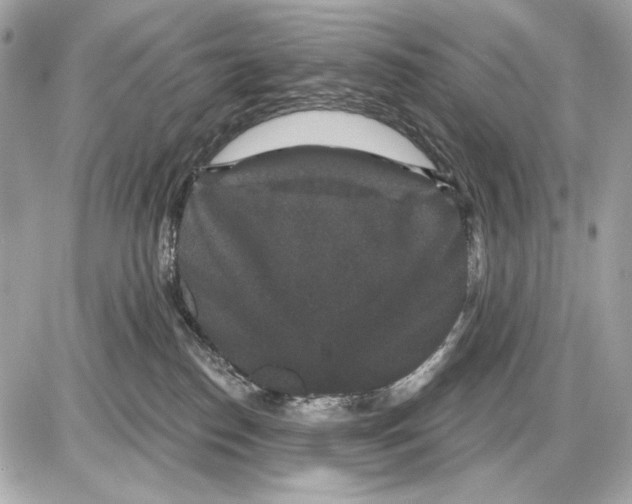 X0000085820186200704091642