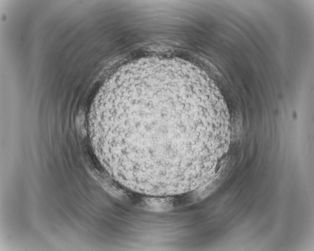 X0000085820187200704091642