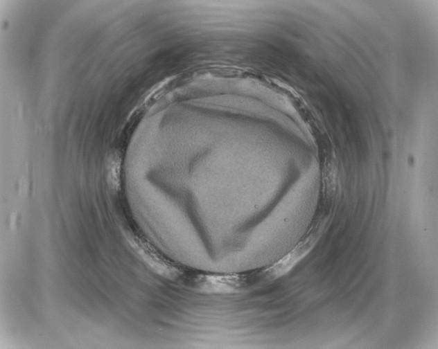 X0000085820188200704091642