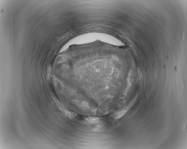 X0000085820189200704091642