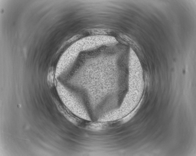 X0000085820190200704091642