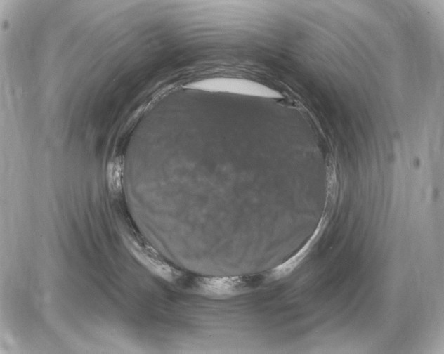 X0000085820191200704091642