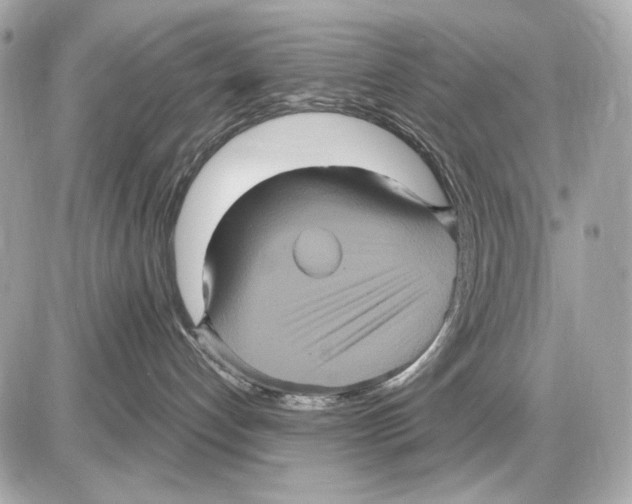 X0000085820192200704091642