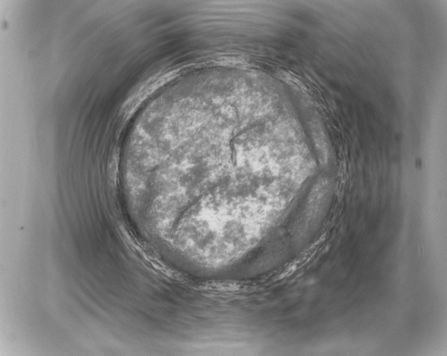 X0000085820194200704091641