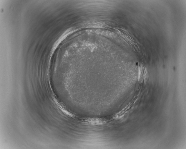 X0000085820195200704091641