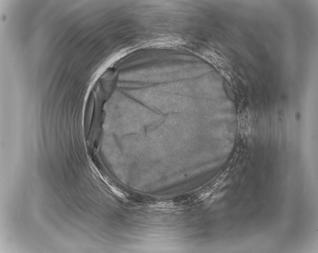 X0000085820196200704091641