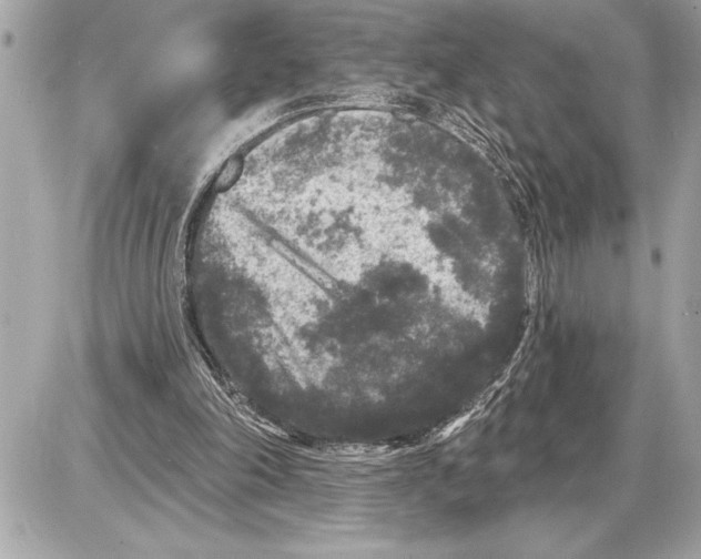 X0000085820198200704091641