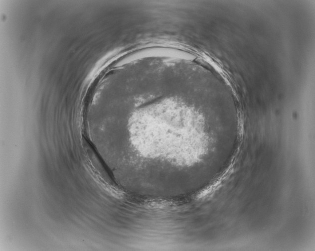 X0000085820199200704091641