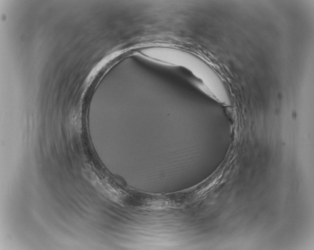 X0000085820200200704091641