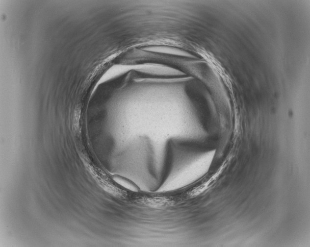 X0000085820201200704091641