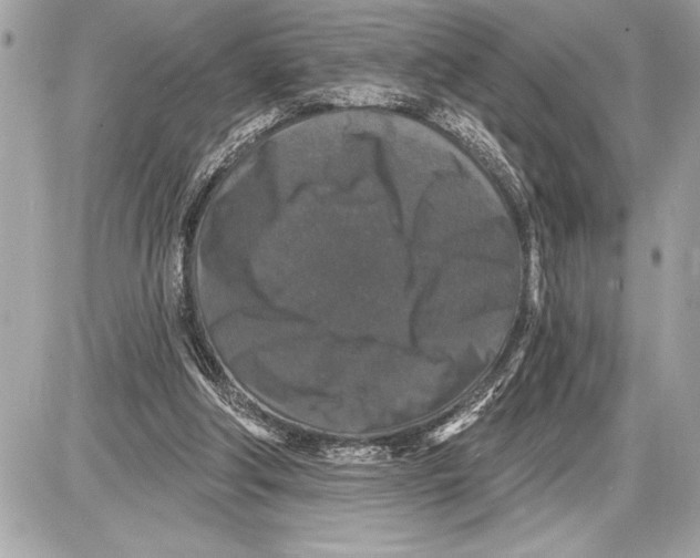 X0000085820202200704091641